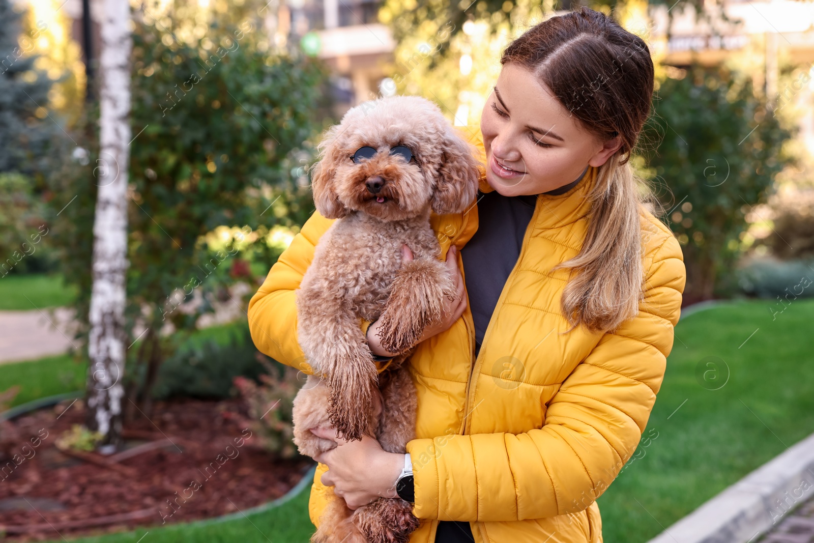 Photo of Woman with cute Toy Poodle dog in sunglasses outdoors