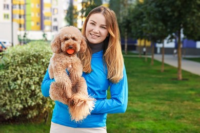 Photo of Woman and cute Toy Poodle dog with ball outdoors