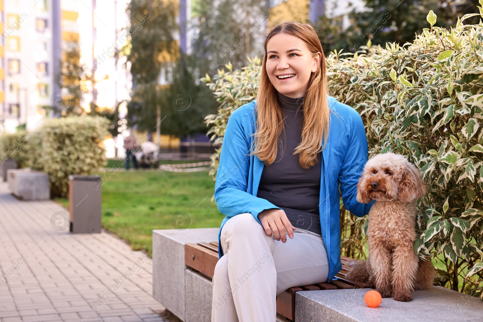 Photo of Woman with cute Toy Poodle dog outdoors