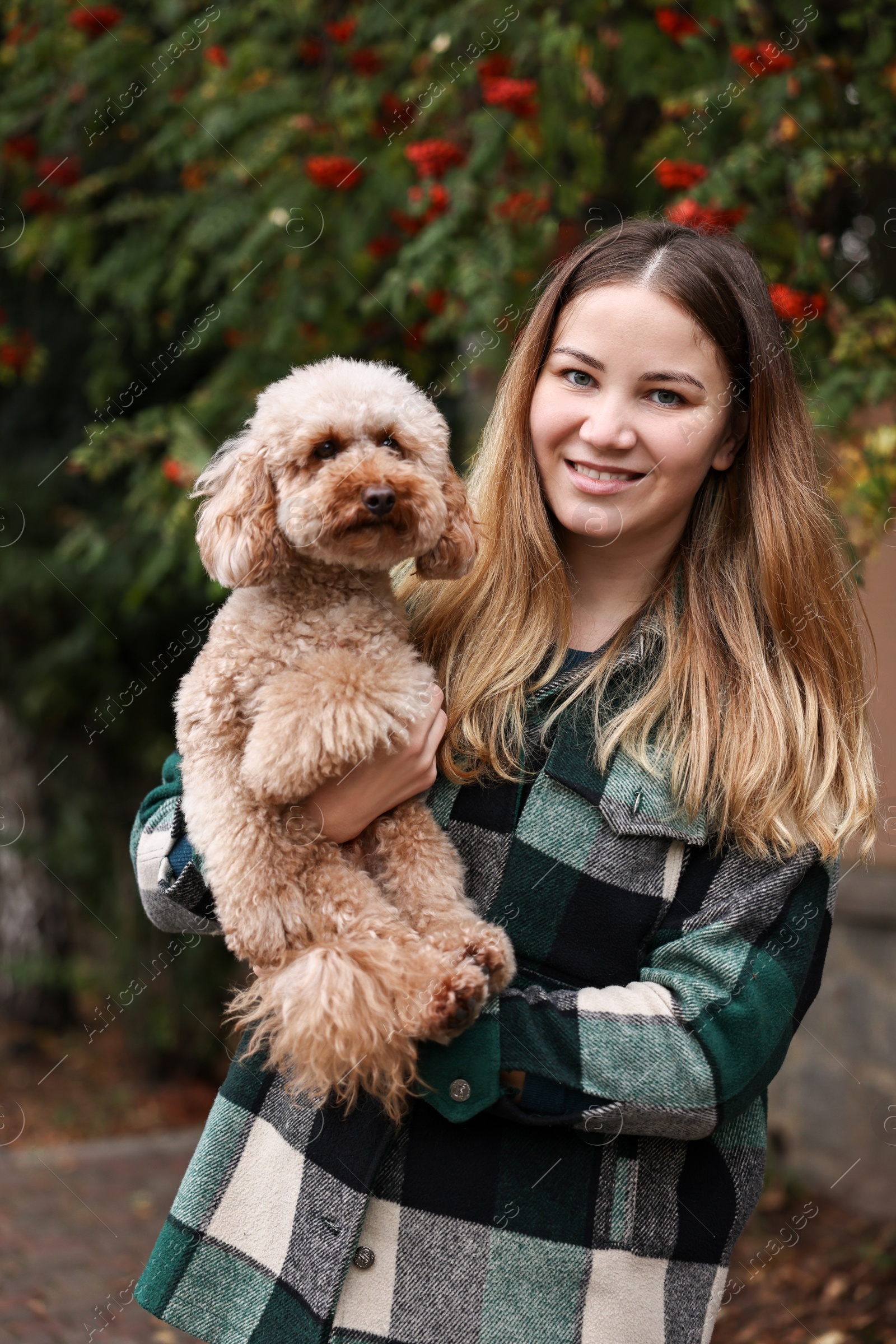 Photo of Woman with cute Toy Poodle dog in park