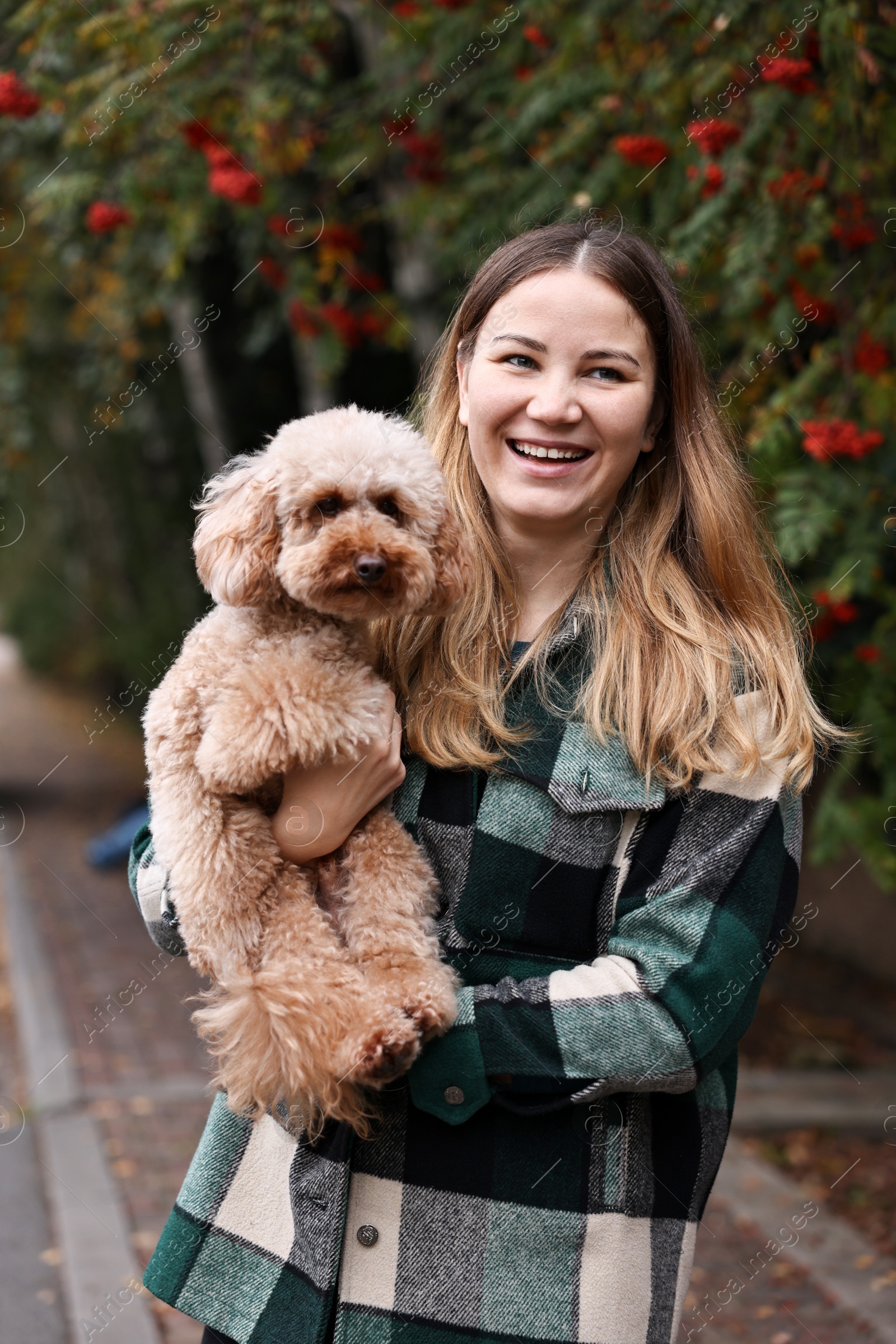 Photo of Woman with cute Toy Poodle dog in park