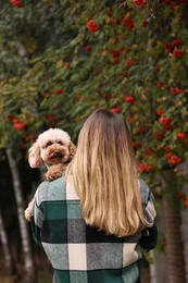 Woman with cute Toy Poodle dog in park, back view