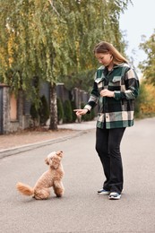 Photo of Woman playing with cute Toy Poodle dog in park