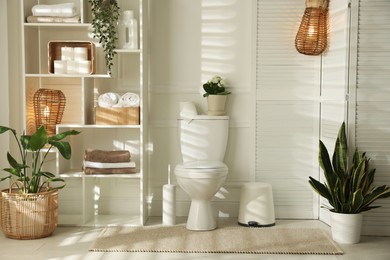 Photo of Folding screen, toilet bowl and houseplants in restroom