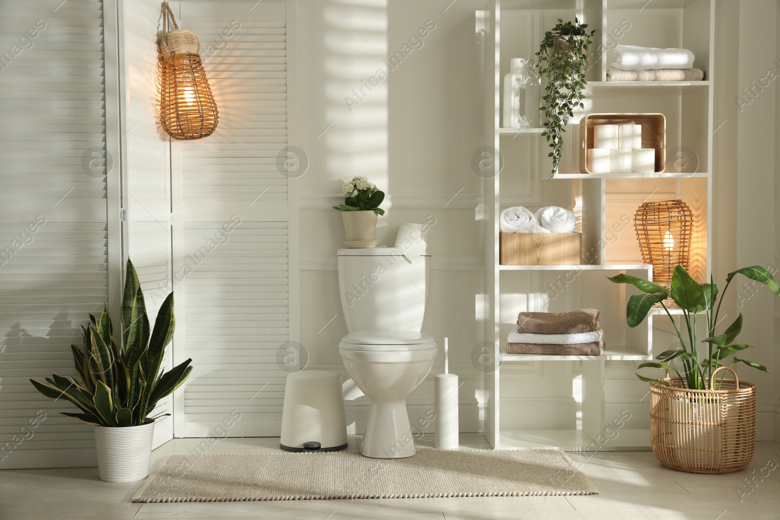 Photo of Folding screen, toilet bowl and houseplants in restroom