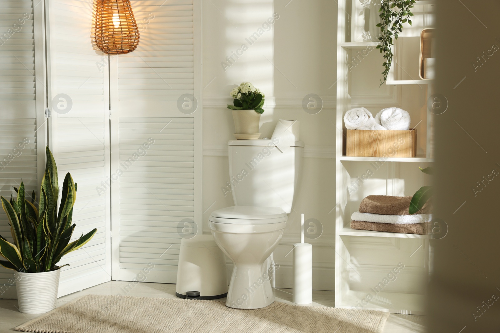 Photo of Folding screen, toilet bowl and houseplants in restroom