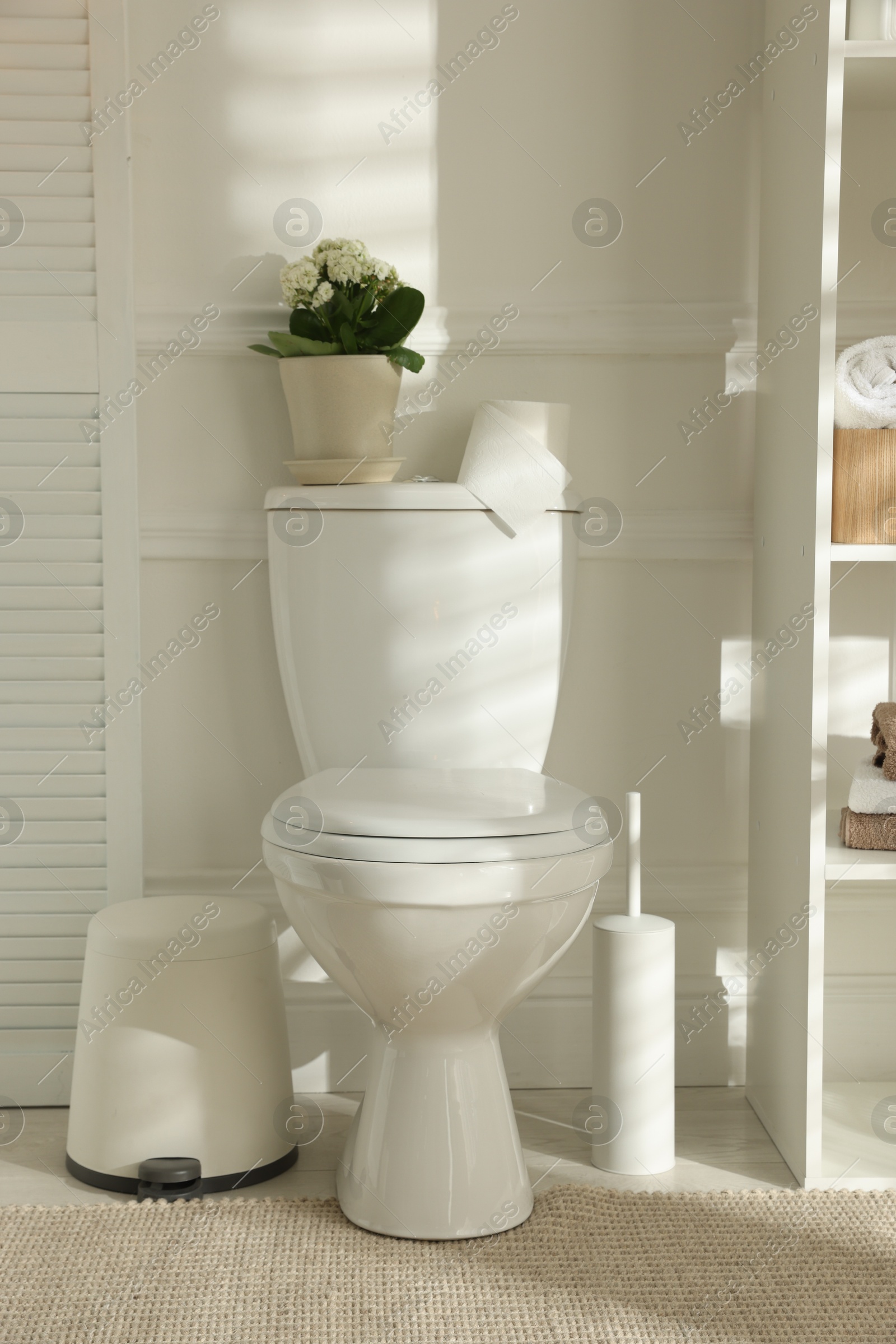 Photo of Toilet bowl, roll of paper and houseplant in restroom