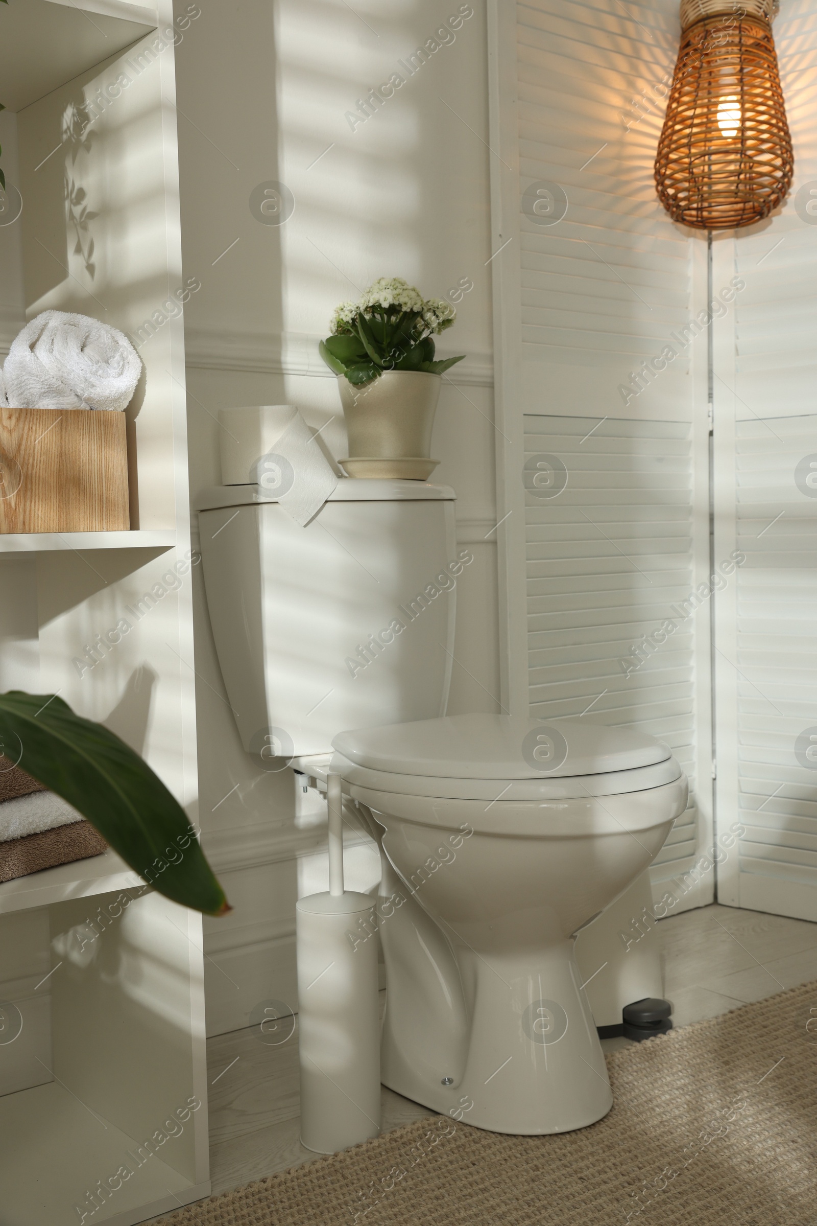 Photo of Toilet bowl, houseplant and lamp in restroom