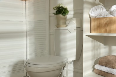 Photo of Toilet bowl, houseplant and towels in restroom