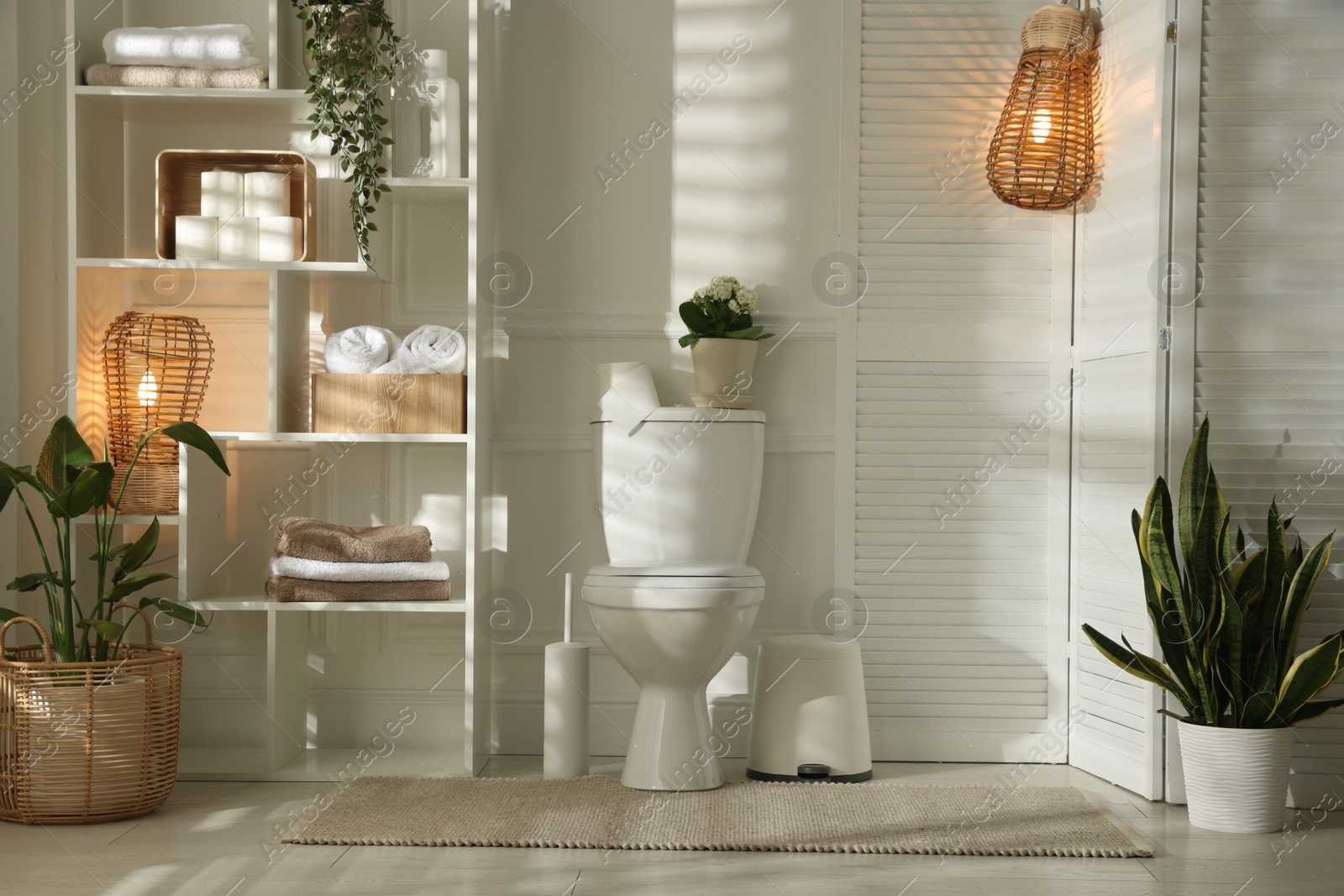 Photo of Folding screen, toilet bowl and houseplants in restroom