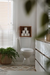 Photo of Toilet bowl, rolls of paper and houseplant in restroom