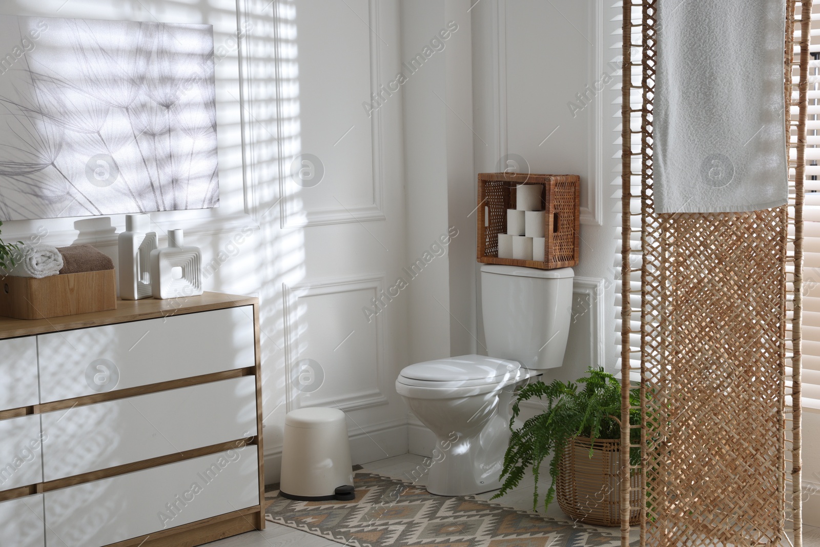 Photo of Folding screen, toilet bowl and houseplant in restroom