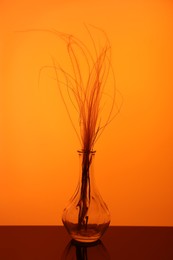 Photo of Glass vase with plant on table, color tone effect