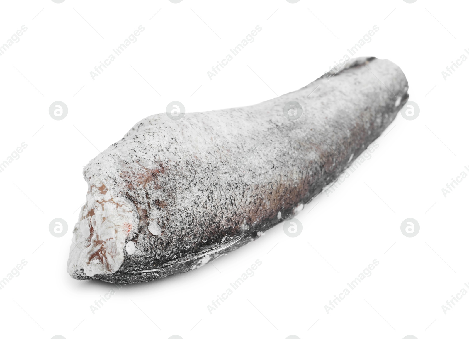 Photo of One frozen hake fish isolated on white