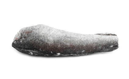 Photo of One frozen hake fish isolated on white