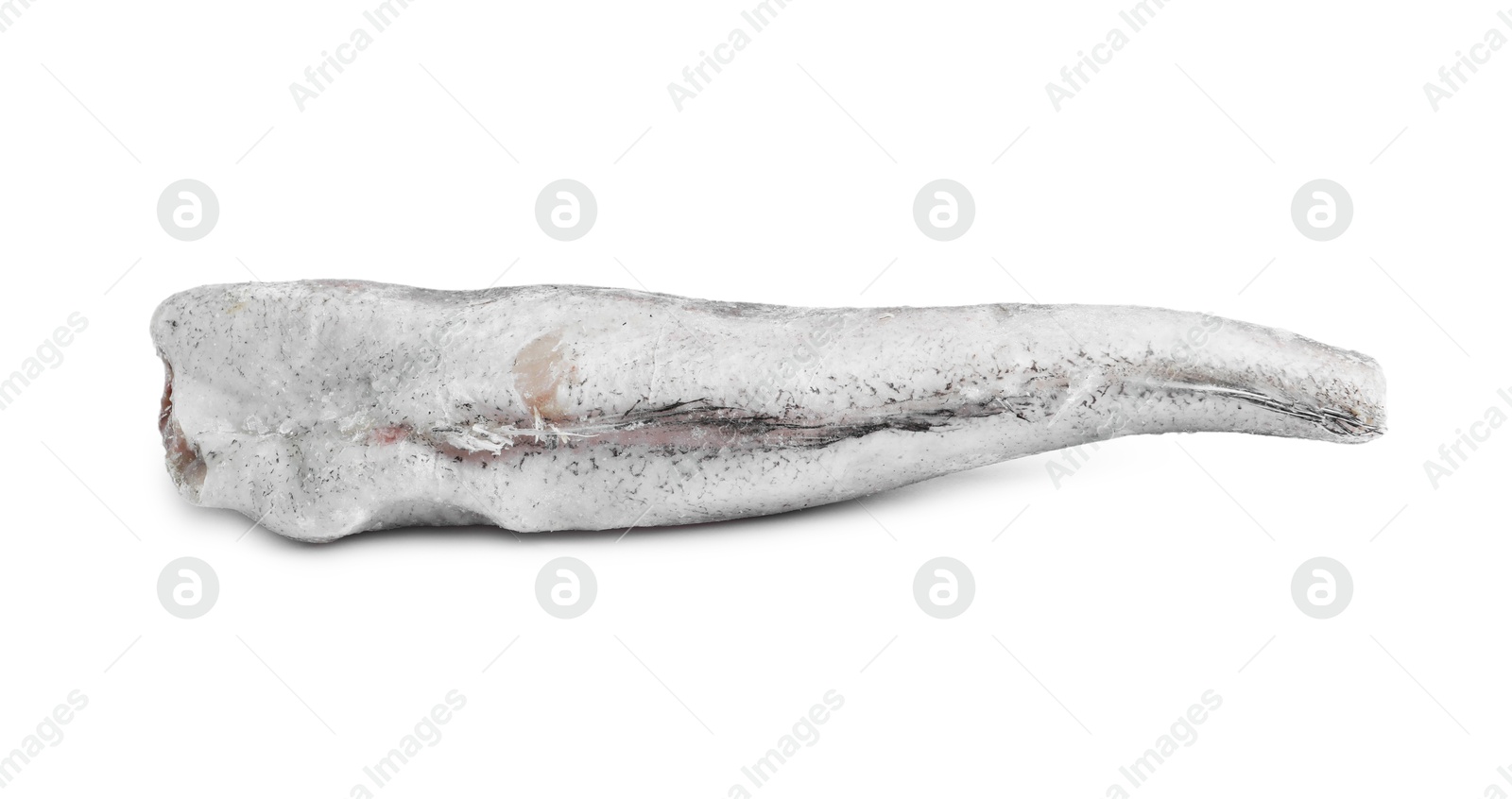 Photo of One frozen hake fish isolated on white