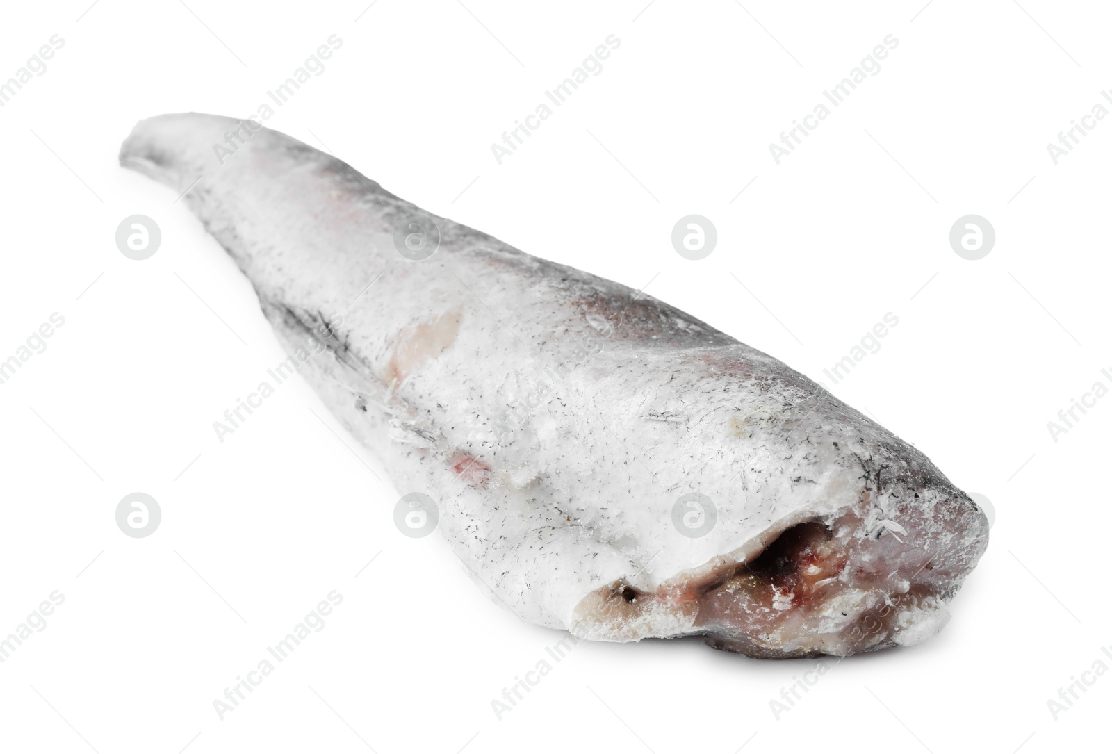 Photo of One frozen hake fish isolated on white