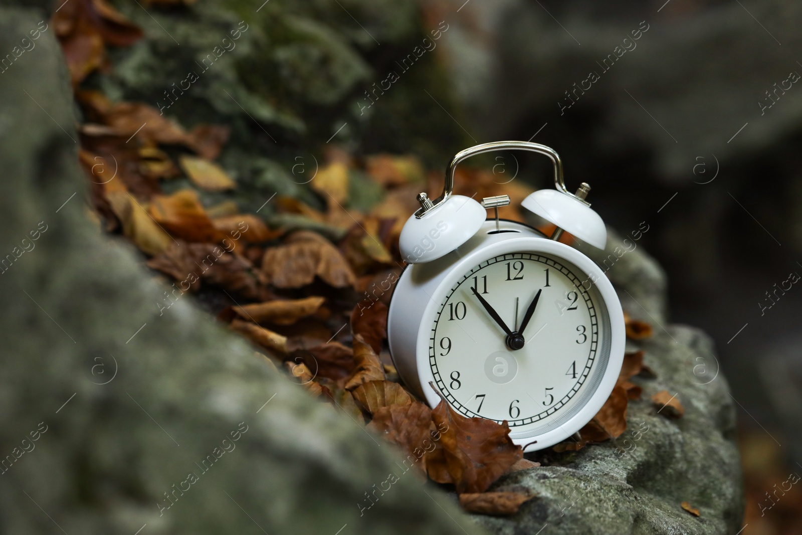 Photo of Alarm clock on fallen dry leaves and stones outdoors, closeup. Space for text