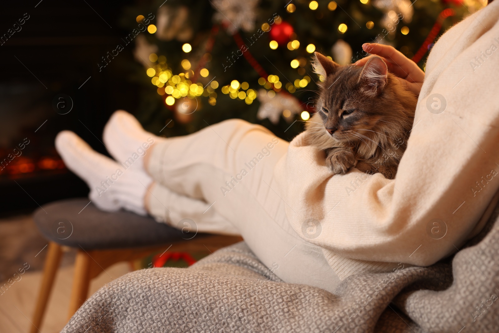 Photo of Woman with cute cat in room decorated for Christmas, closeup