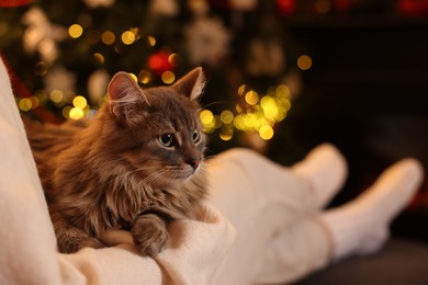 Photo of Woman with cute cat against blurred Christmas lights, closeup. Space for text