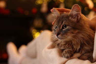 Photo of Woman with cute cat against blurred Christmas lights, closeup. Space for text