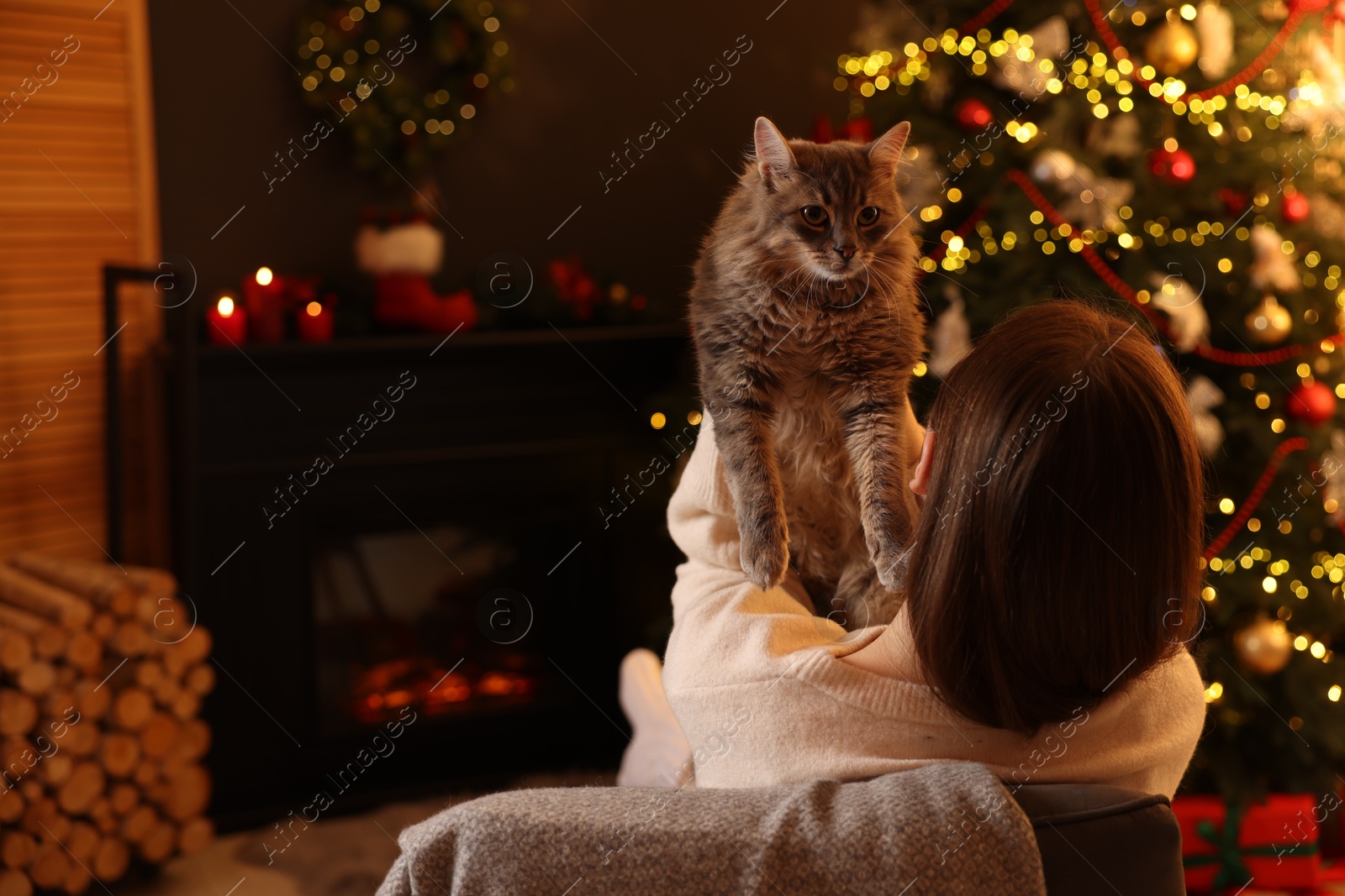 Photo of Woman with cute cat in room decorated for Christmas, back view. Space for text