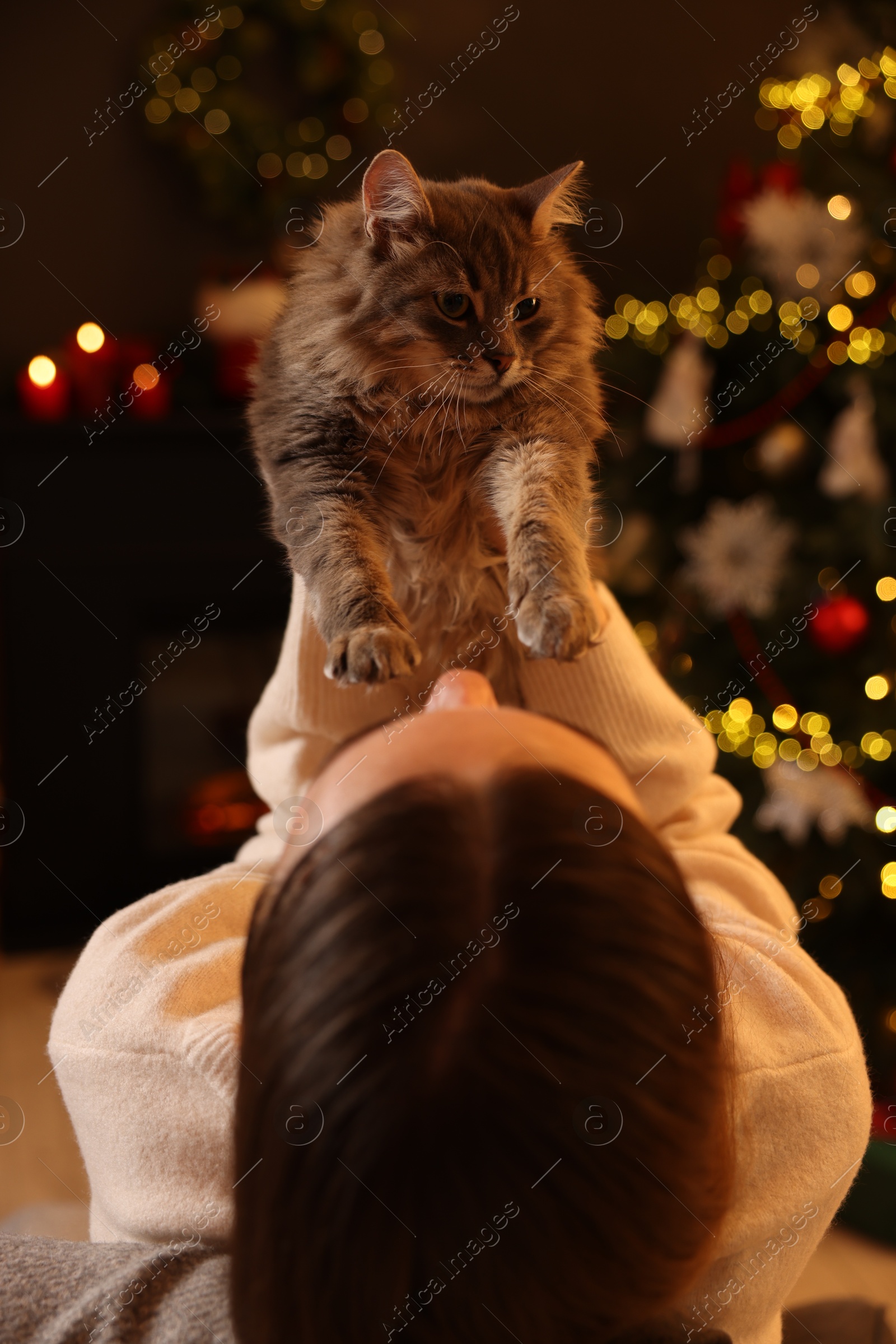 Photo of Woman with cute cat in room decorated for Christmas