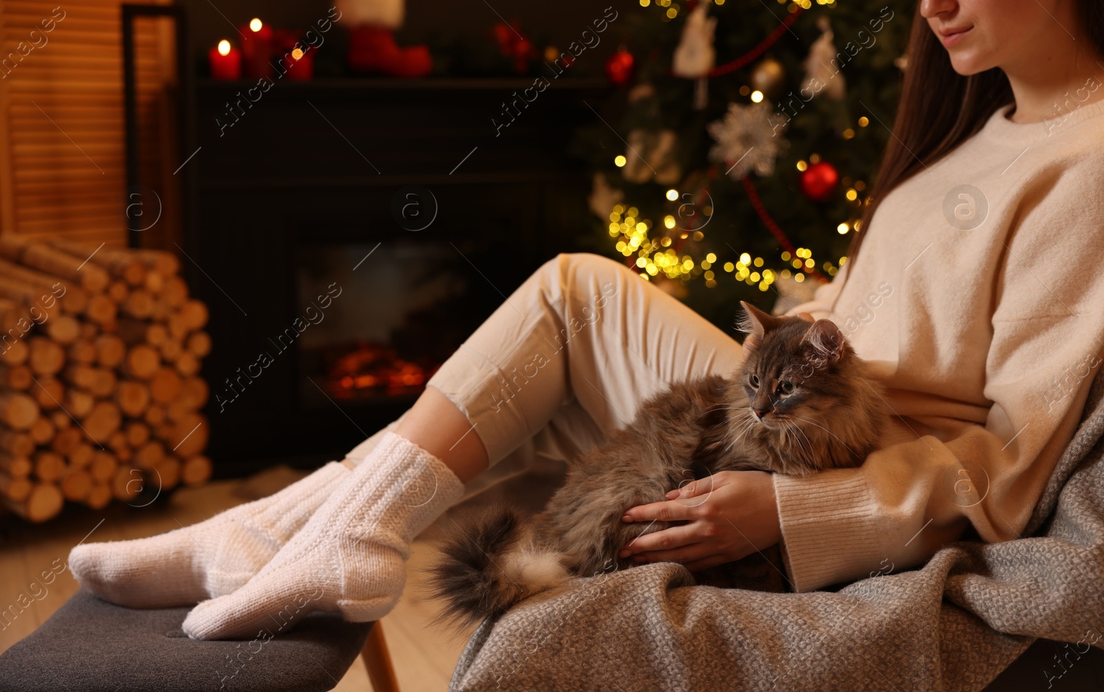 Photo of Woman with cute cat in room decorated for Christmas, closeup