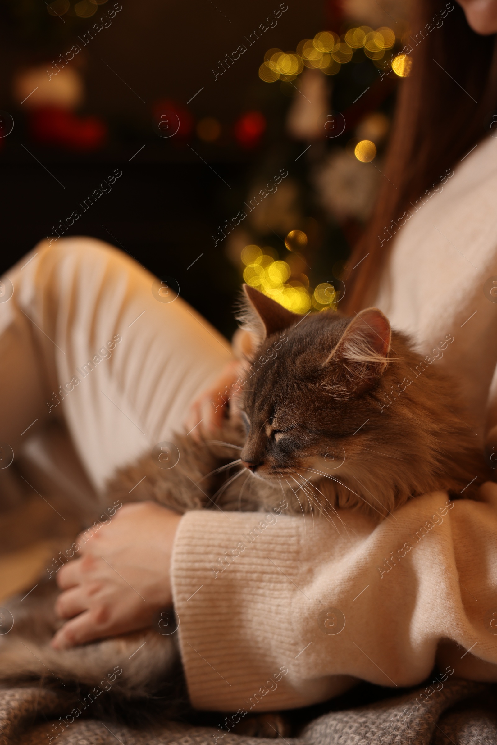 Photo of Woman with cute cat against blurred Christmas lights, closeup