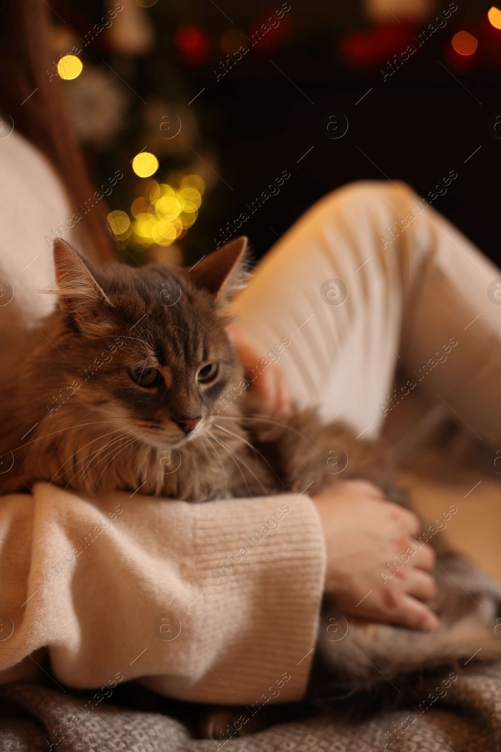 Photo of Woman with cute cat against blurred Christmas lights, closeup