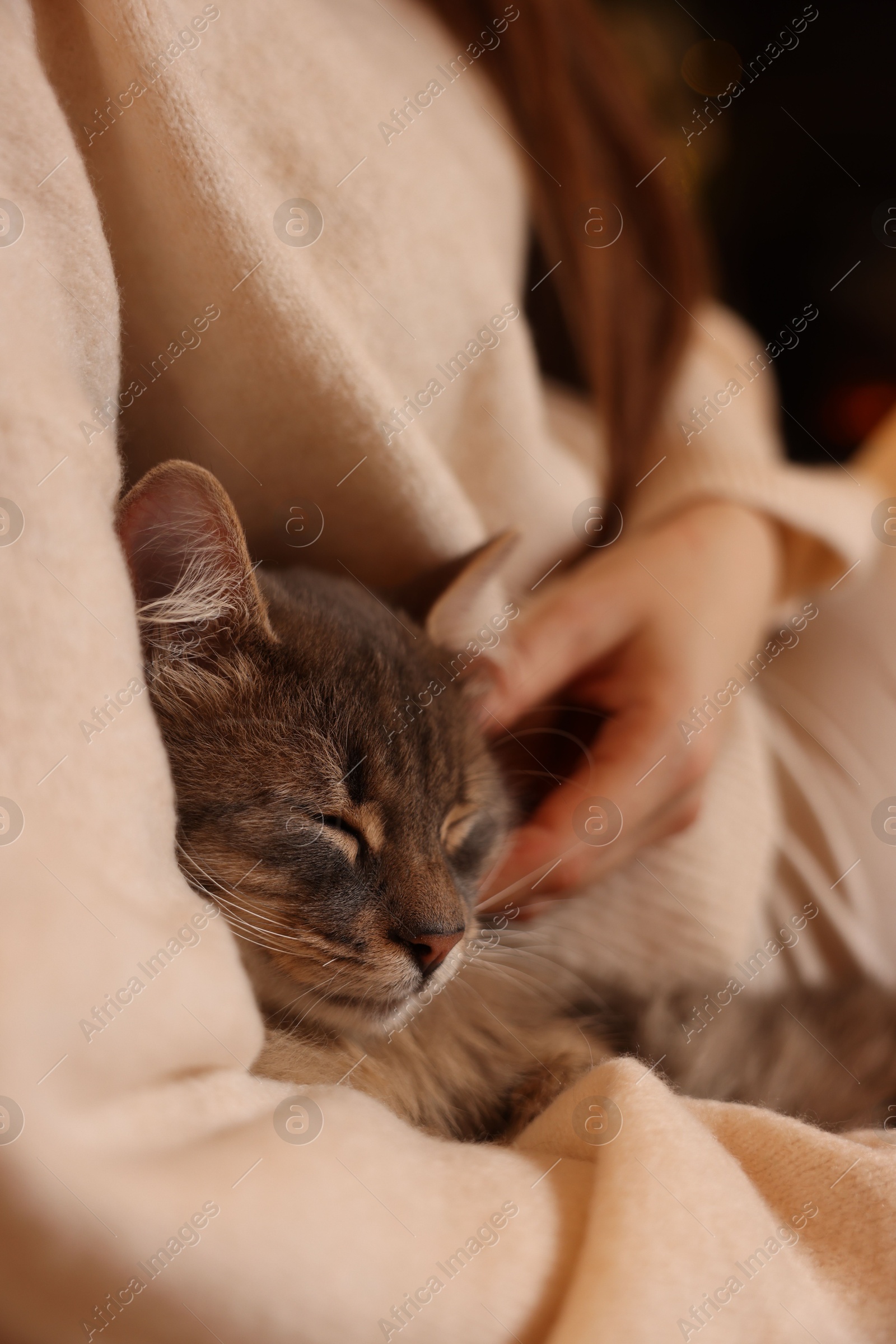 Photo of Woman with cute cat at home, closeup