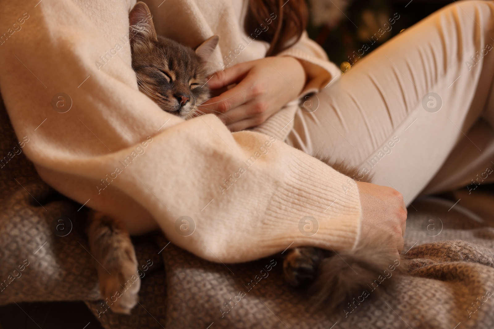 Photo of Woman with cute cat at home, closeup