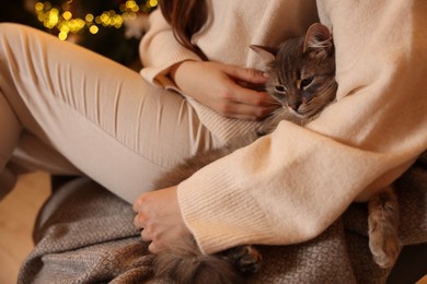 Woman with cute cat against blurred Christmas lights, closeup