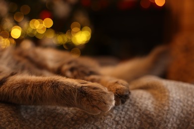 Photo of Fluffy cat on blanket against blurred Christmas lights, closeup. Space for text