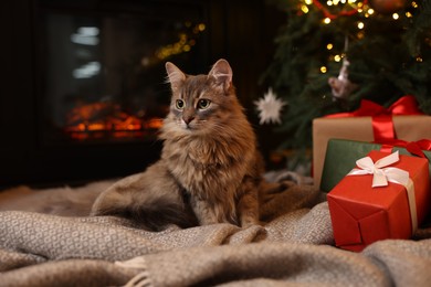 Photo of Cute fluffy cat near fireplace in room decorated for Christmas