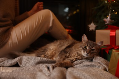 Woman and cute fluffy cat in room decorated for Christmas, closeup