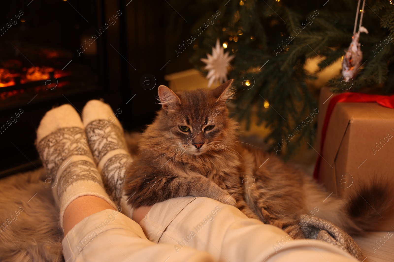 Photo of Woman and cute fluffy cat near fireplace in room decorated for Christmas, closeup