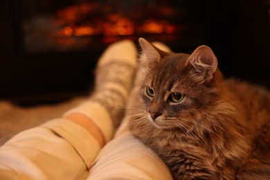 Woman and cute fluffy cat near fireplace indoors, closeup