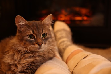 Photo of Woman and cute fluffy cat near fireplace indoors, closeup