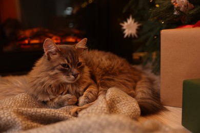 Photo of Cute fluffy cat on blanket in room decorated for Christmas