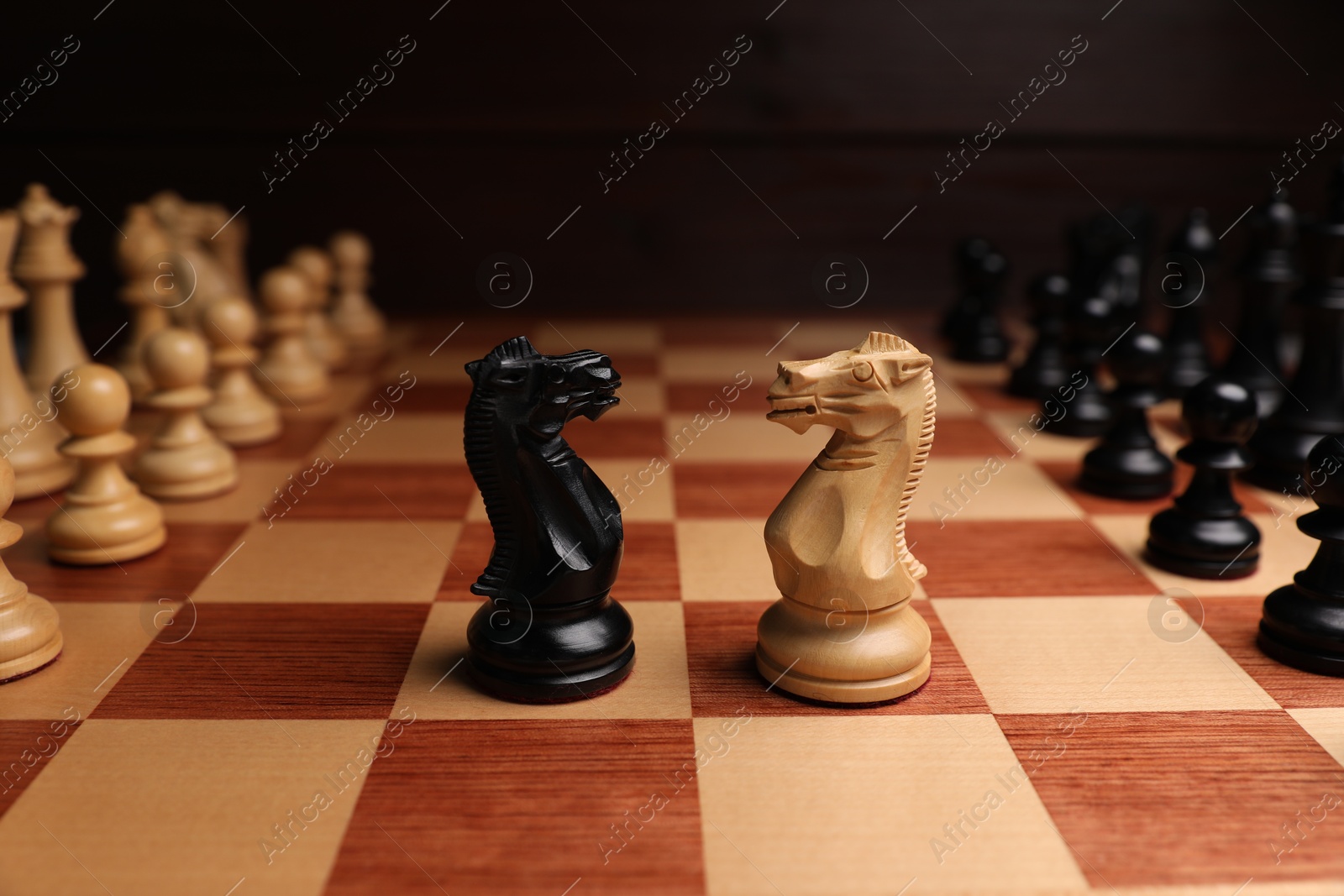 Photo of Black and white chess knights in middle of chessboard, closeup. Competition concept