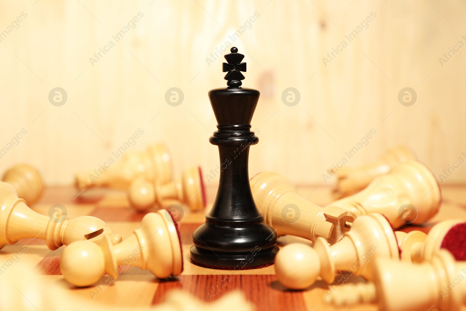 Photo of Black chess king among other fallen white game pieces on chessboard, closeup. Competition concept