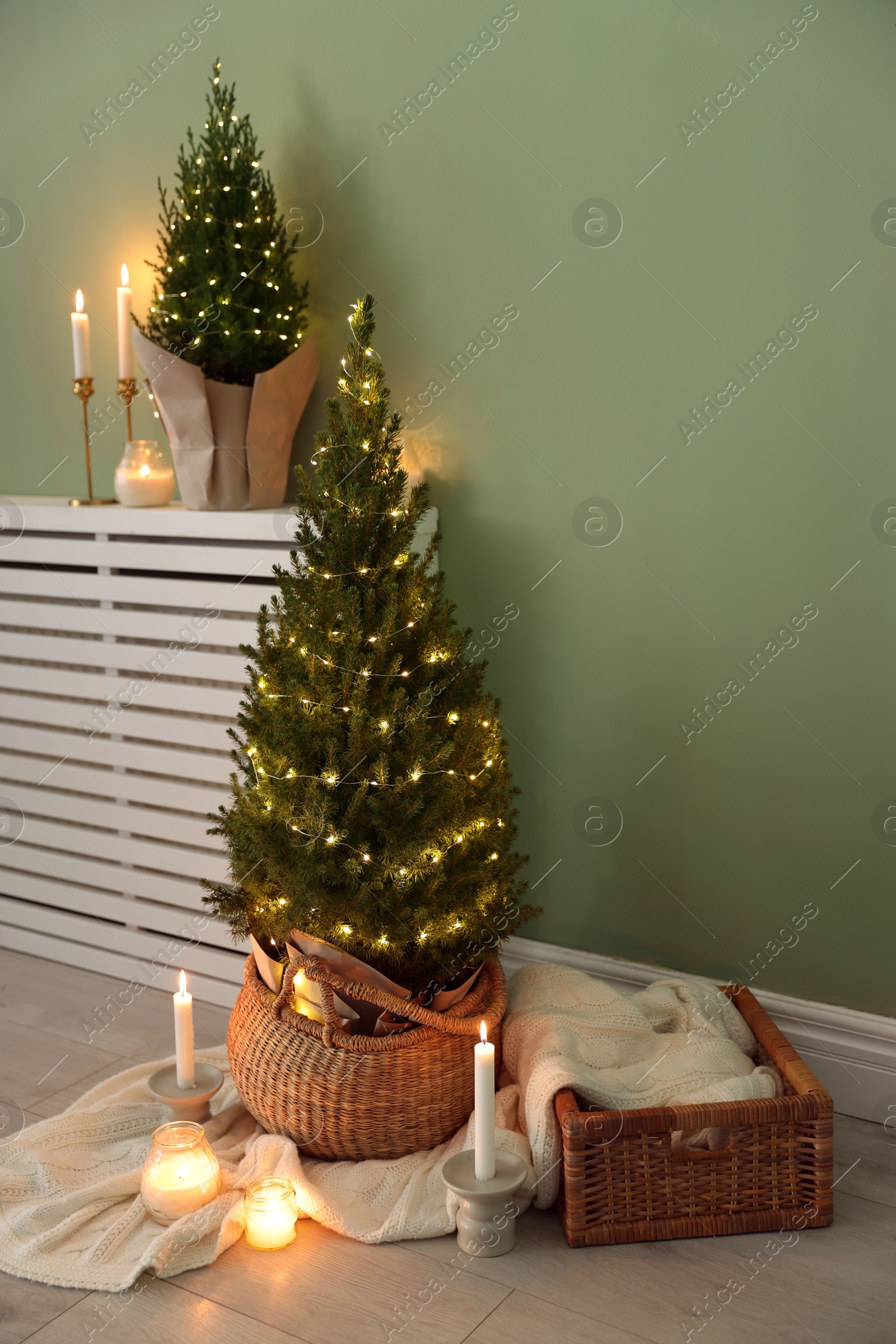 Photo of Small spruce trees with Christmas lights and other decor near green wall indoors