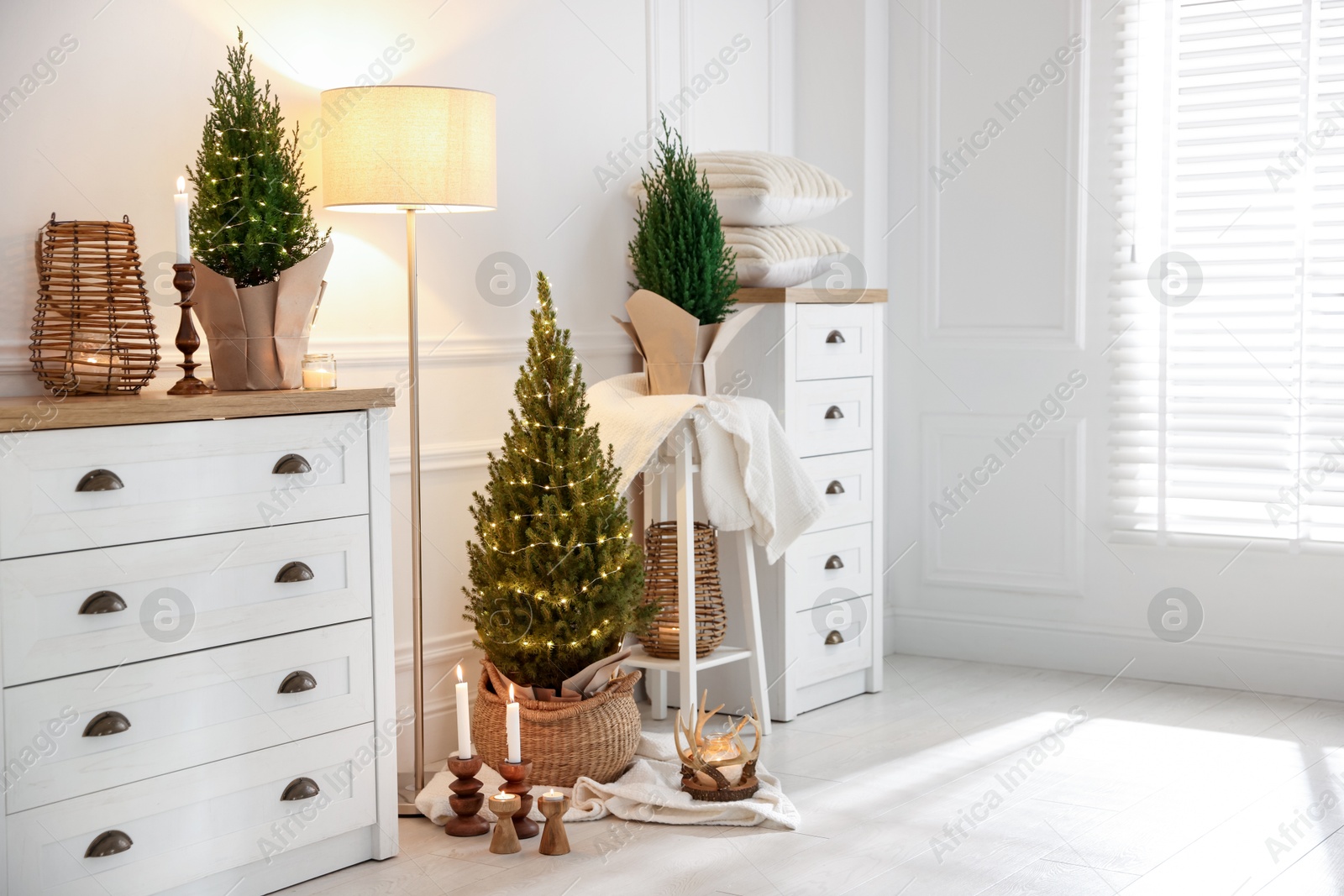 Photo of Small spruce trees with Christmas lights and other decor indoors