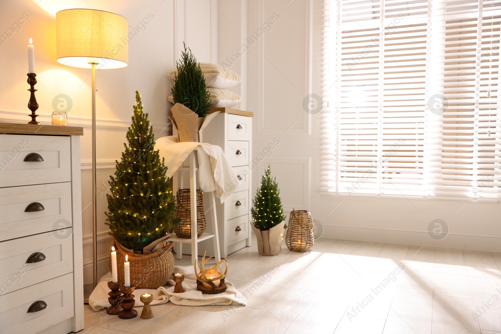 Photo of Small spruce trees with Christmas lights and other decor indoors. Space for text