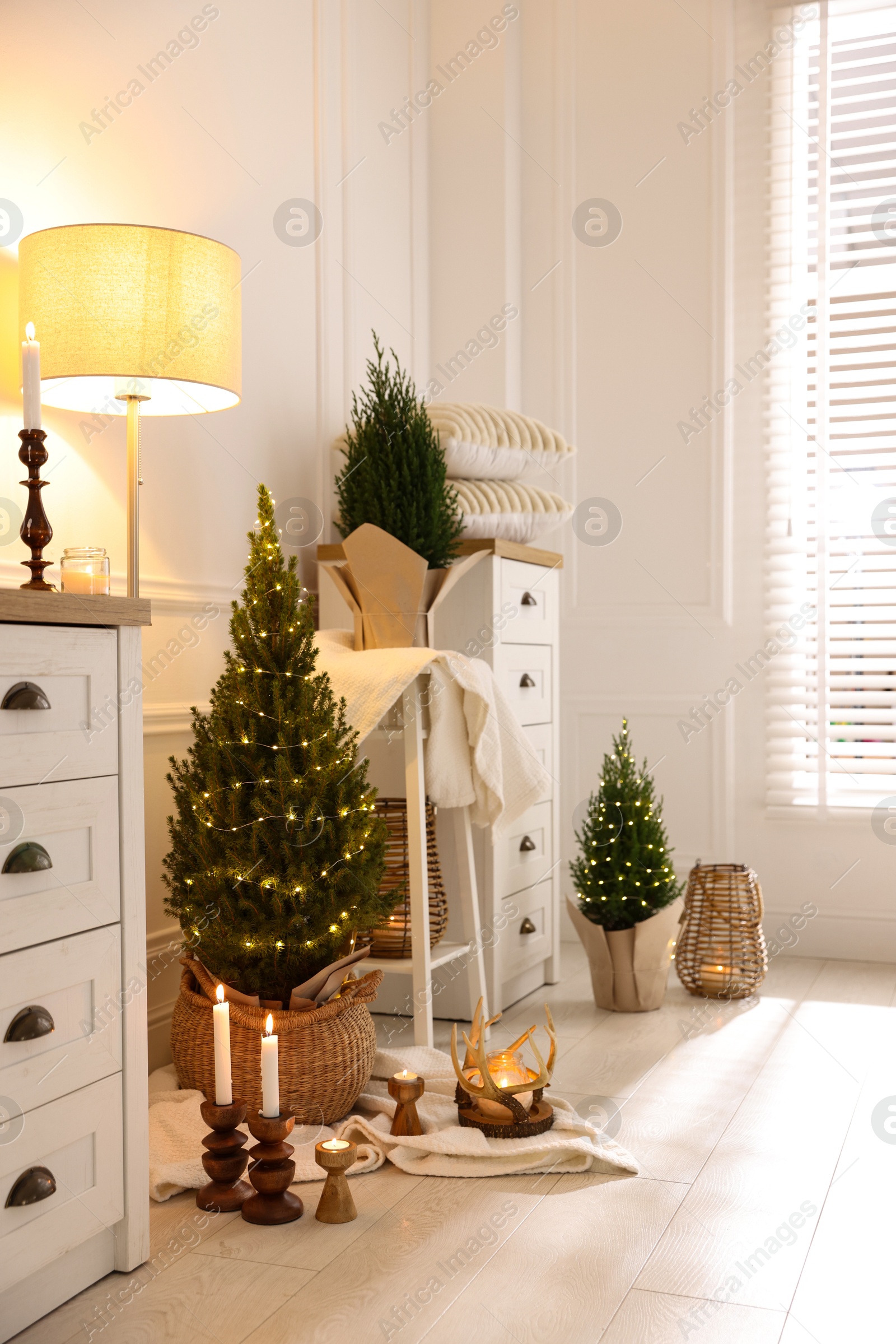 Photo of Small spruce trees with Christmas lights and other decor indoors