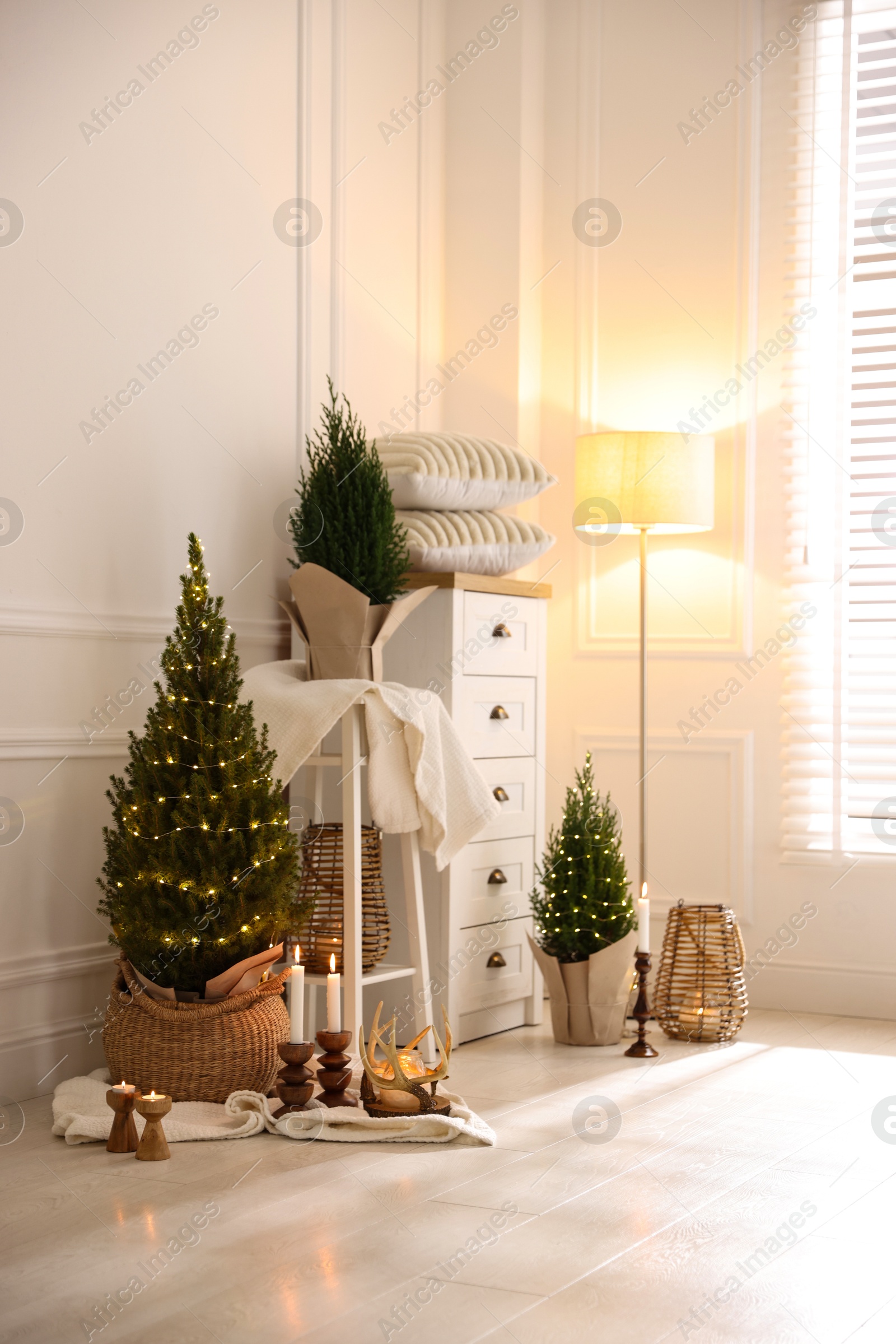 Photo of Small spruce trees with Christmas lights and other decor indoors