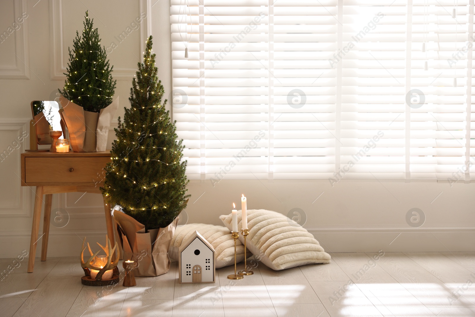 Photo of Small spruce trees with Christmas lights and other decor indoors. Space for text