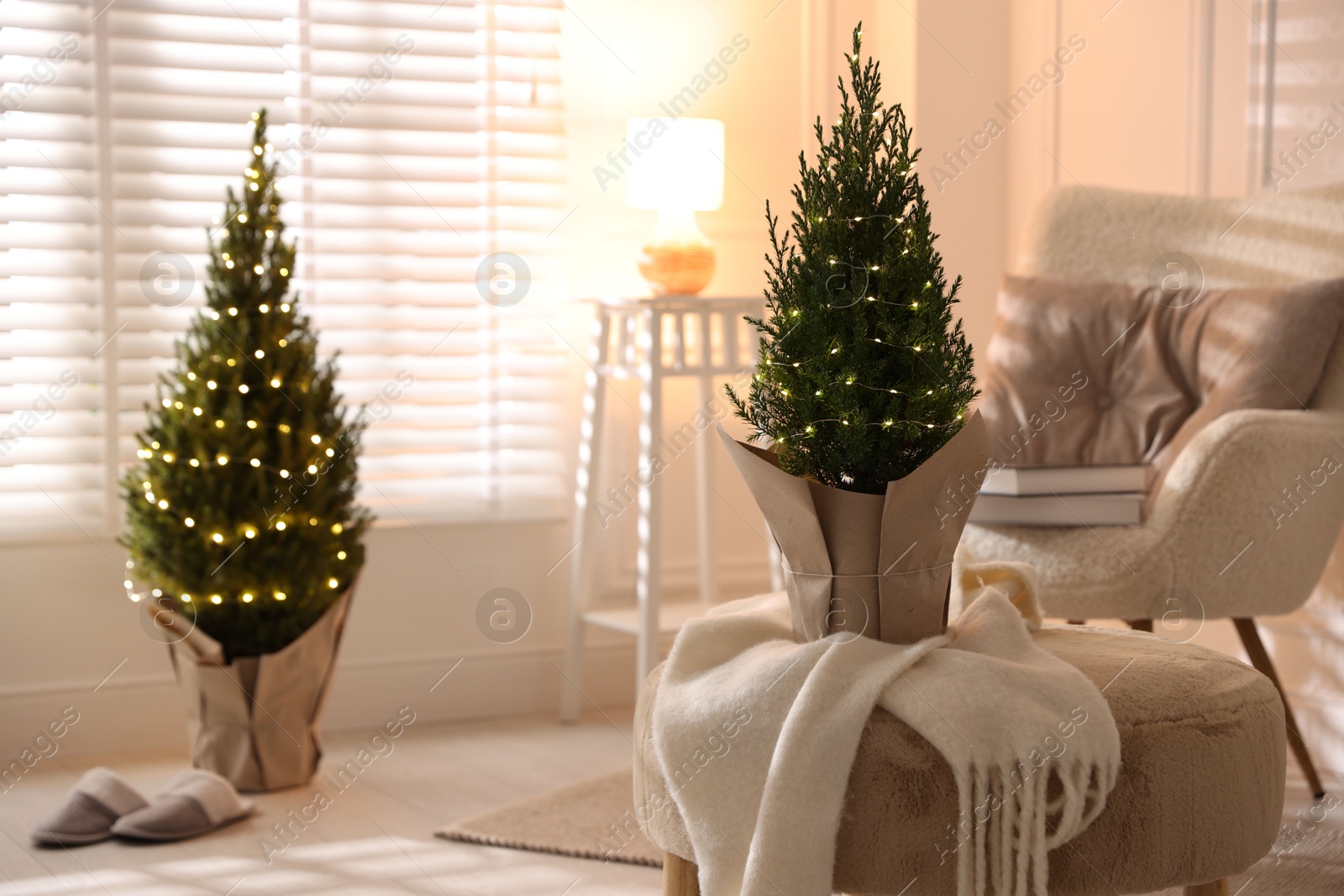 Photo of Small spruce trees decorated with Christmas lights indoors