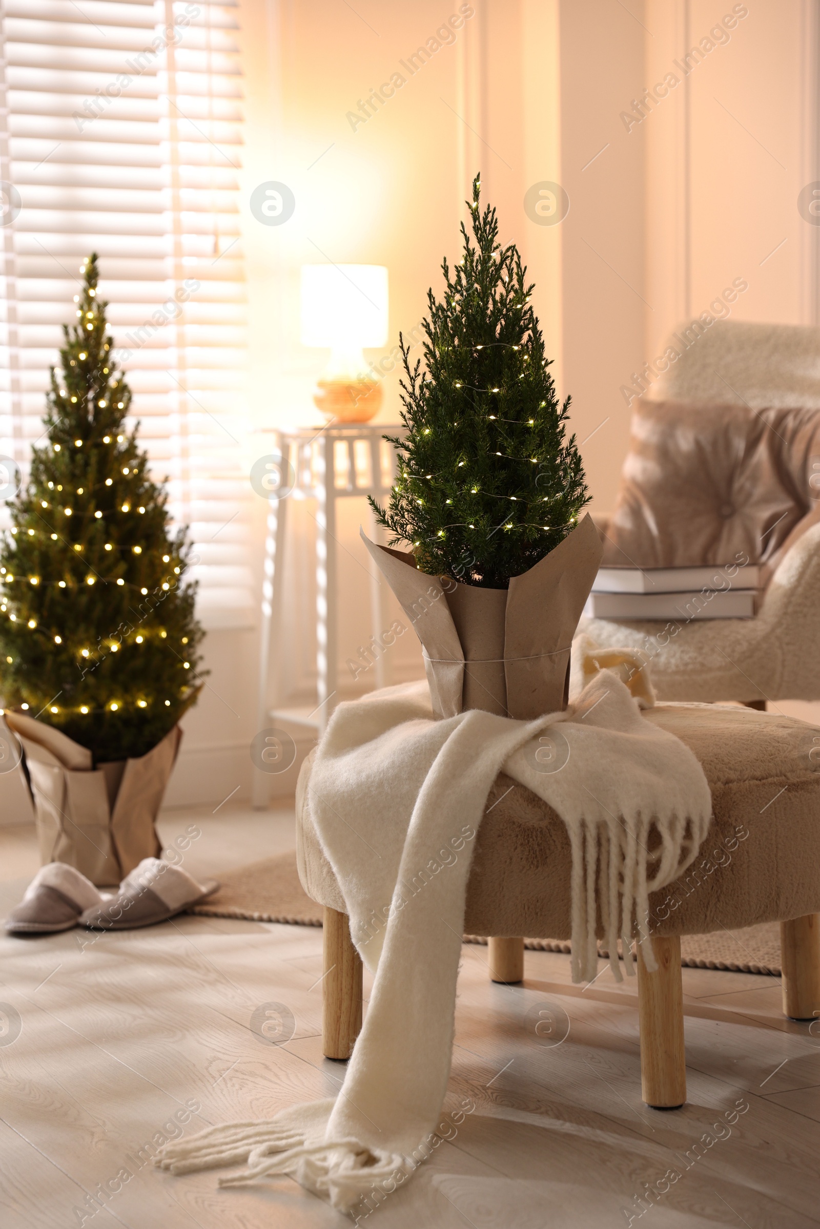 Photo of Small spruce trees decorated with Christmas lights indoors